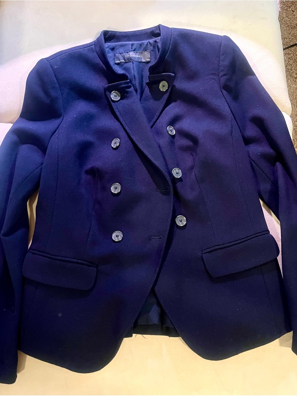 The Limited Navy Double-Breasted Blazer